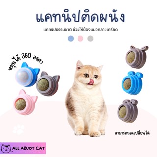 [ABC cat] แคทนิปติดผนัง (มีแพคเกจ) แคทนิปแมว ของเล่นแมวแบบติดผนัง แคทนิปติดผนัง 006