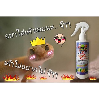 สเปรย์ไล่จิ้งจก ตุ๊กแก สูตรเข้มข้น 1 ขวด เห็นผลไว (ส่งด่วน)