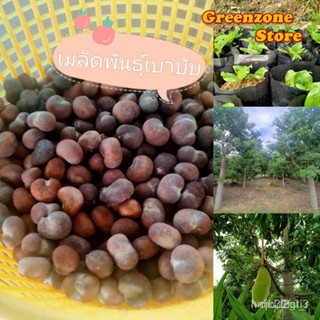 ผลิตภัณฑ์ใหม่ เมล็ดพันธุ์ 1฿ เมล็ดพันธุ์ เบาบับดิจิทาทา Adansonia digitata  เมล็ดพันธุ์แท้ E6dE/ง่าย L77S