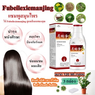 Fubeilexiemanjing ยาสระผม แชมพูสูตรสมุนไพรจีน ช่วยบำรุงเส้นผมและหนังศรีษะ ขจัดรังแค กลาดเกลื่อน เชื้อรา ปริมาณ 120 ml.*3