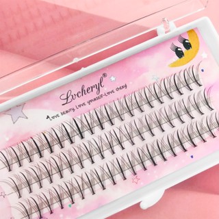 Lvcheryl Fairy Eyelashes Extension Set 3d False สำหรับแต่งหน้าขนตามนุษย์ธรรมชาติ 8-12 มม. เครื่องมือ DIY Lash Extension สำหรับคริสต์มาส