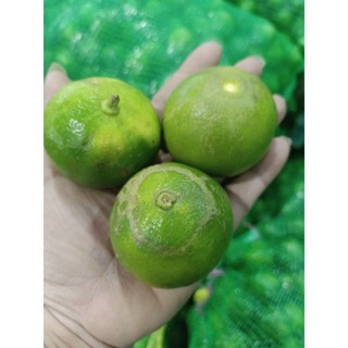 มะนาวแป้นบ้านแพ้วเบอร์400