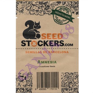 Amnesia Auto - Seed Stockers