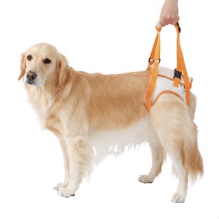 ของใหม่ Petio Walking Assistance Harness (3L)