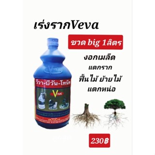 บีวันโทนิค ขวด1ลิตร เร่งราก รากแตกดี แตกรากฝอย ใช้ในการตอนกิ่งปักกิ่งชำ เร่งรากต้นไม้ แตกรากเร็ว