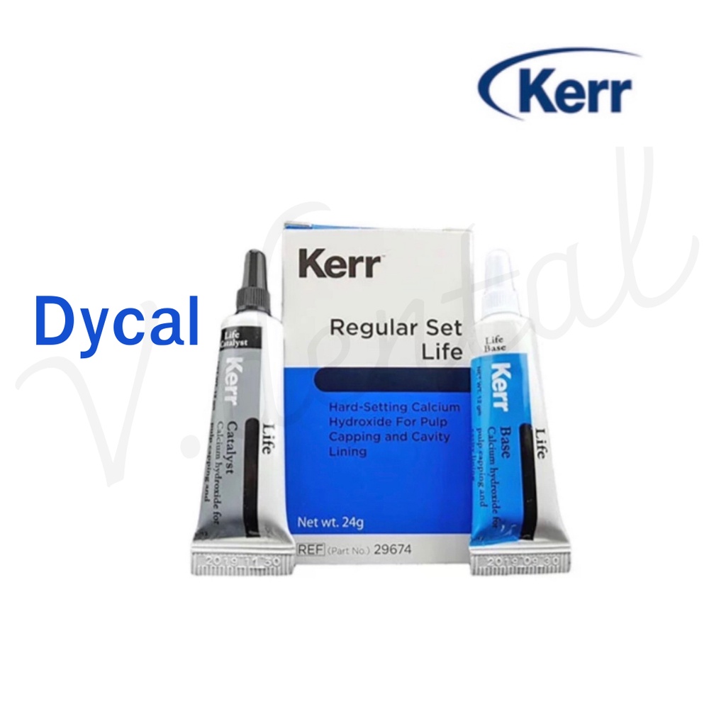 Dycal - Rugular life kerr