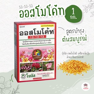 ออสโมโค้ท 13 -13-13 แบบกล่อง ไม้อวบน้ำ กุหลาบหิน cactus&amp;succulent