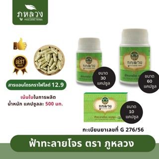 ฟ้าทะลายโจร ตรา ภูหลวง (น้ำหนัก 500 mg)  📣  โค้ดส่วนลด🔖 ถ้ามีจะโพสที่หน้าร้าน 😍 ฟ้าทะลายโจรแคปซูล สินค้าพร้อมส่ง