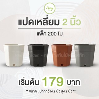 200 ใบ กระถาง 2 นิ้ว แปดเหลี่ยม กระถางแคคตัส กระถางกระบองเพชร