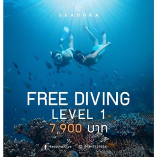 Freediving Level 1 Course