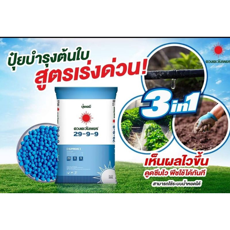 ปุ๋ยดวงตะวันเพชร25กิโล สูตร 29-9-9 (1 คำสั่งซื้อต่อ1กระสอบค่ะ)