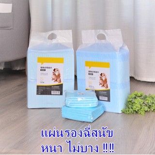 พร้อมส่ง ถูกมาก แผ่นรองฉี่ สุนัข XL