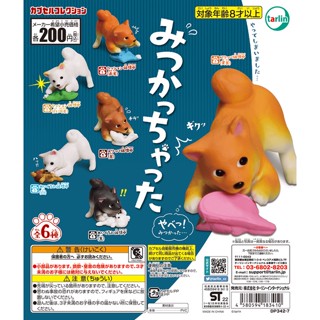 (เลือกแบบ) กาชาปองสัตว์ หมาชิบะ เล่นผ้า เล่นของเล่น • I found it Shiba dog Gashapon