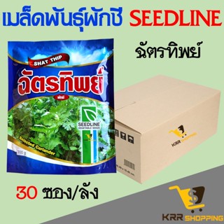 ผักชี ฉัตรทิพย์ ยกลัง 30 ซอง (300g) เมล็ดผักชีฉัตรทิพย์ ผักชีฉัตรทิพย์ เมล็ดผักชี ฉัตรทิพย์ อิตาลี