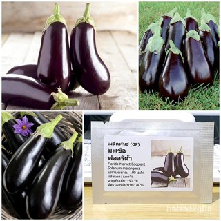 ผลิตภัณฑ์ใหม่ เมล็ดพันธุ์ 2022เมล็ดอวบอ้วน มะเขือฟลอริด้า (Florida Market Eggplant Seed) 100 เมล็ด คุณภาพดี ราคา/ผักชี X