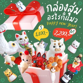 🎁อะไรก็แมว Lucky Box🎄กล่องสุ่มสินค้าแมวๆสุดคุ้ม!! มี 2 ไซส์ให้เลือกกัน!!