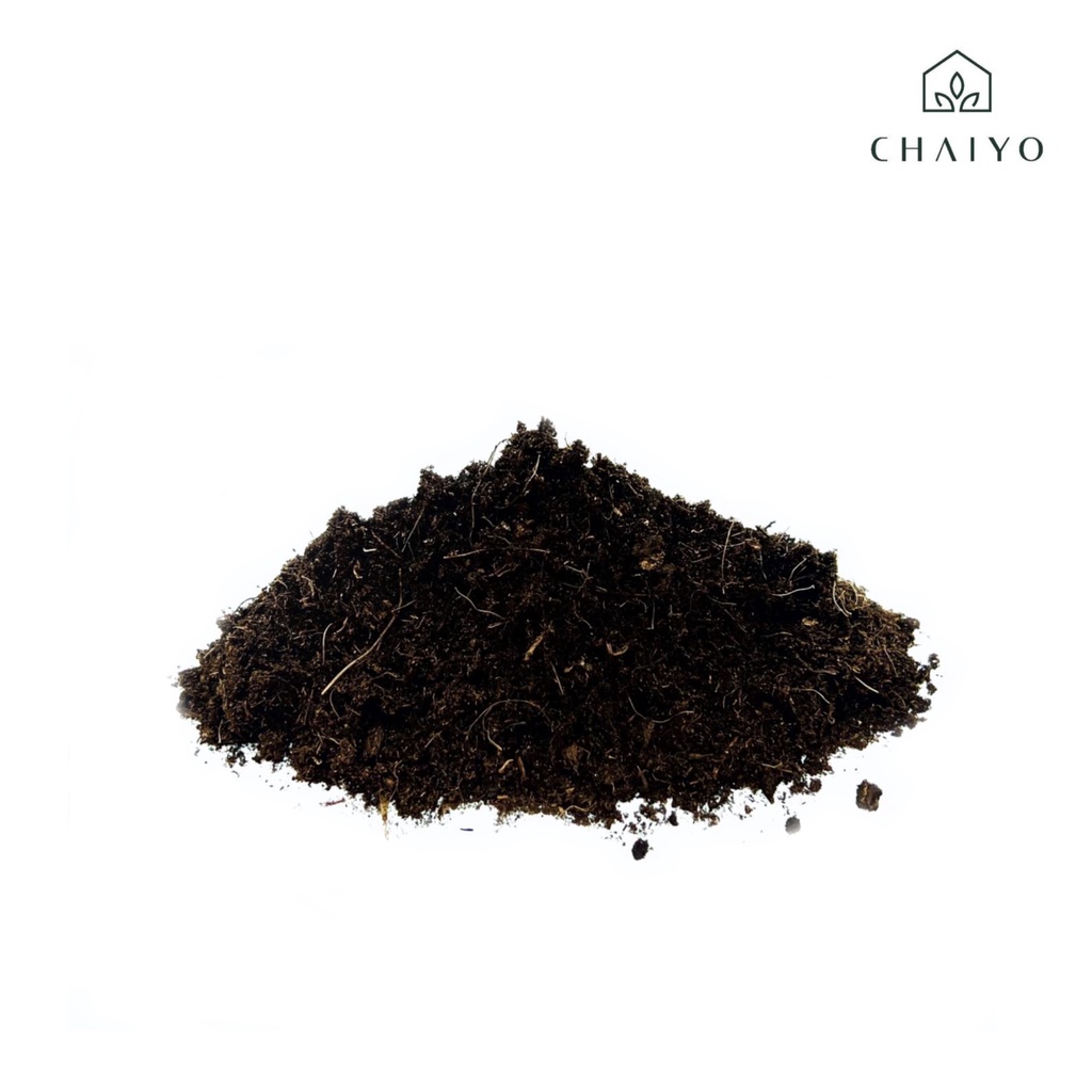 รูปภาพ 5