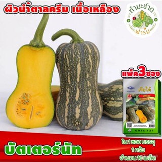 （คุณภาพสูง เมล็ด）[แพ็ค 3 ซอง] เจียไต๋ เมล็ดพันธุ์ ฟักทอง บัตเตอร์นัท ประมาณ 7 เมล็ด/ซอง  ตราเจียไต๋ เมล็ดพันธุ์ผ/มะเขือ