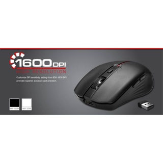 SIGNO Wireless Optical Mouse รุ่น WM-120 (เมาส์ ไร้สาย)