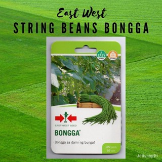 ผลิตภัณฑ์ใหม่ เมล็ดพันธุ์ จุดประเทศไทย ❤East West STRING BEANS Seeds Bongga SITAW Pouchเมล็ดอวบอ้วน 100% รอคอยที/ผักชี D