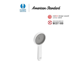 AMERICAN STANDARD หัวฝักบัว รุ่น GENIE สีเทา (รวมสายและขอแขวน)