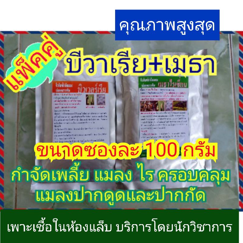 หัวเชื้อบีวาเรีย+เมธาไรเซียม จุลินทรีย์กำจัดเพลี้ยไฟ ไรแดง ด้วง ปลวกและแมลงทุกชนิด ขนาดซองละ 100 กรัม