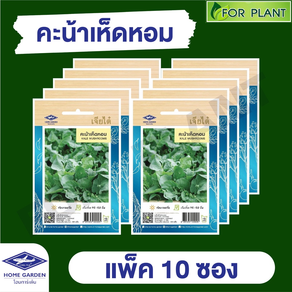 ขายส่ง เมล็ดพันธุ์ ผักซอง ยกแพค เจียไต๋ ราคาถูก บรรจุแพ็คละ 10 ซอง  CT15 {คละชนิดได้ กดใส่ตะกล้าไว้ก่อนยืนยันสั่งซื้้อ)