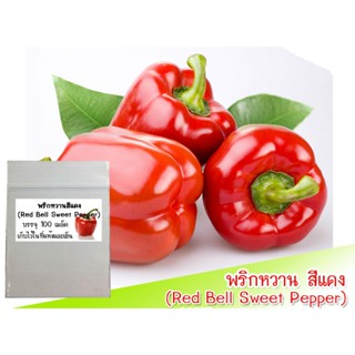 （คุณภาพสูง เมล็ด）เมล็ดพัธุ์พริกหวาน สีแดง (Red Bell Sweet Pepper) 20 เมล็ด เมล็ดพริก เมล็ดพริกหวาน พ/ง่าย ปลูก ส/มะเขือ