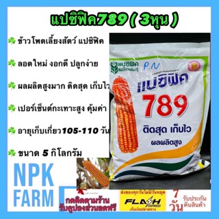 ข้าวโพดเลี้ยงสัตว์ แปซิฟิค 789 (3 หุน) เมล็ดกลมเล็ก ขนาด 5 กิโลกรัม ลอตใหม่ล่าสุด ติดสุด เก็บไว ผลผลิตสูงมาก ทนราสนิม