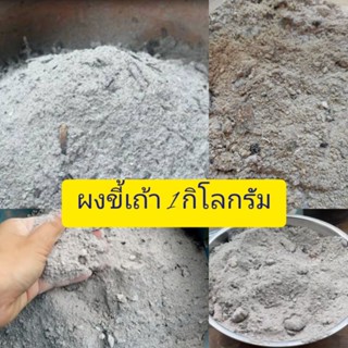 ผงขี้เถ้าถ่าน 1 กิโลกรัม