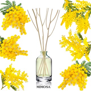 ก้านไม้หอมปรับอากาศขนาดมินิ 15ml MIMOSA ดอกมิโมซ่า