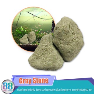 Gray Stone หินแร่ธาตุสำหรับกุ้ง ช่วยระบบย่อยของกุ้ง​ เพิ่มแร่ธาตุอาหาร​ ขนาดสำหรับตู้​ 60​ ซม.​