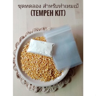 ชุดทดลองทำเทมเป้ (Tempeh kit set) ได้ถั่ว250กรัม ,ถุง3ใบ,ผงเชื้อ10กรัม