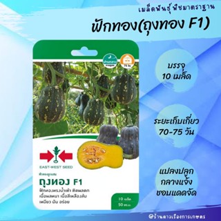 เมล็ดพันธุ์ ฟักทอง (ถุงทอง F1) *ศรแดง บรรจุ 10 เมล็ด