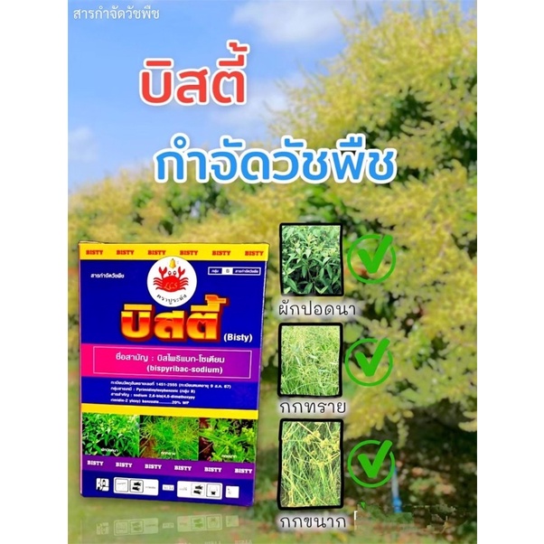 บิสตี้ 100กรัม บิสไพริแบก-โซเดียม bispyribacsodium20% ฆ่าหญ้าในนาข้าว ยาฉีดหญ้าข้าวนก/หญ้านกสีชมพู บ