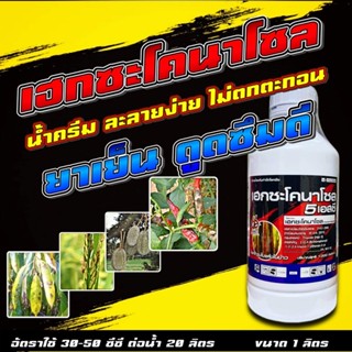 เฮกซะโคนาโซล 66 1 ลิตร 🛑 เฮกซะโคนาโซน ยาเชื้อรา โรคพืช ใบด่าง ใบจุด เมล็ดด่าง ช่อดำ ราแป้ง ราดำ กาบใบแห้ง