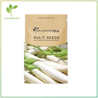 ผลิตภัณฑ์ใหม่ เมล็ดพันธุ์ จุดประเทศไทย ❤EGGPLANT  - PURE WHITE VEGETABLE SEEDS SULIT SEED PACK [Halamanan PH]เมล/ดอก GBP