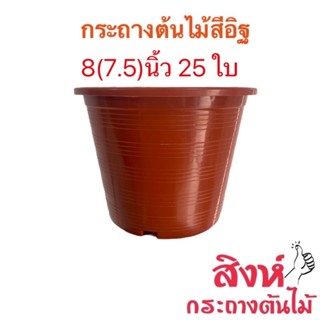 กระถางสีอิฐ 8(7.5)นิ้ว 25 ใบ