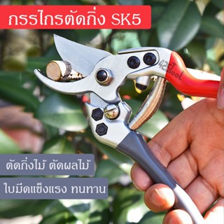 426TOOL กรรไกรตัดกิ่งไม้ SK5  ผลไม้ เครื่องมือทำสวน ญี่ปุ่น ด้ามอลูมิเนียมหุ้มยาง ลดแรงกด น้ำหนักเบา ใช้งานง่าย