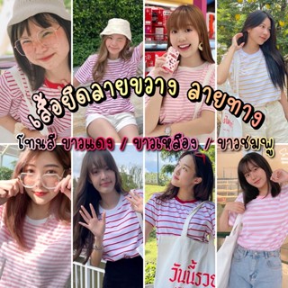 Freesizeอก38นิ้วยาว26นิ้ว เสื้อยืดลายขวาง ลายทางแขนสั้น โทนสีแดง/เหลือง/ชมพู/ม่วง/ส้ม/เขียว มีบริการเก็บเงินปลายทาง