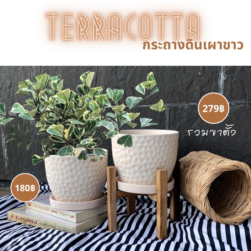 กระถางดินเผา กระถางต้นไม้ขนาด 6.2”  สไตล์มินิมอล ลายลูกกอล์ฟ พร้อมจานรอง งานสวย ระบายน้ำดี