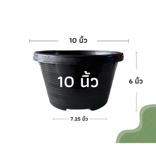 กระถางทรงเตี้ย ขนาด 10 นิ้ว กระถางแขวน กระถางเพาะเมล็ด สีดำเงา