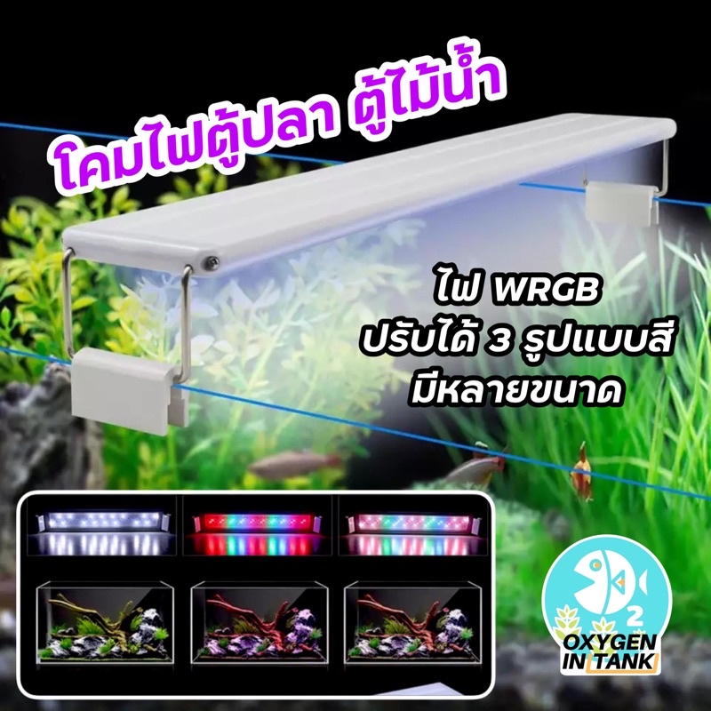 โคมไฟตู้ปลา ตู้ไม้น้ำ หลอด LED-WRGB แบรนด์ ROXIN มีหลายขนาดความยาว ให้เลือก (พร้อมส่ง)