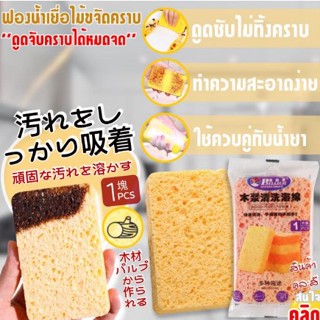 ฟองน้ำเยื่อไม้ทำความสะอาดครัว Decontamination Scouring Sponge