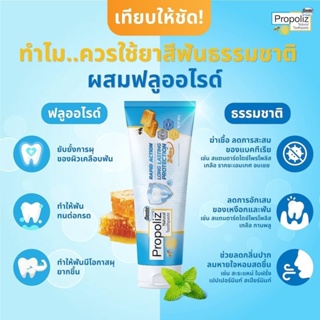 ยาสีฟัน Propoliz Dente ยาสีฟัน โพรโพลิซ แก้ปวดฟัน คราบหินปูน เหงือกอักเสบ ปกป้องยาวนาน 24 ชม.