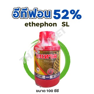 อีทีฟอน 52% ethephon เร่งการสุก บ่มผลไม้ ขนาด 100 ซีซี