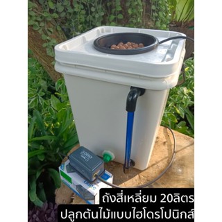 ถังสี่เหลี่ยมปลูกต้นไม้แบบไม่ใช้ดิน ถังปลูกไฮโดรโปนิกส์ DWC Hydroponics 20L.