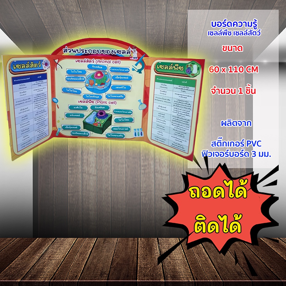 ฟิวเจอร์บอร์ดความรู้ ส่วนประกอบของเซลล์ เซลล์ เซลล์พืช เซลล์สัตว์ สื่อการเรียนรู้ สื่อวิทยาศาสตร์