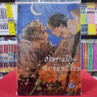 อธิษฐานรักก่อนพระจันทร์เสี้ยว เล่มเดียวจบ การ์ตูนวาย หนังสือการ์ตูนวาย มังงะ มือหนึ่ง cn