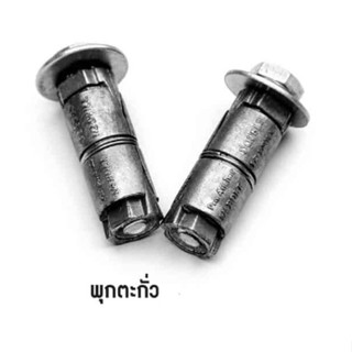 พุกตะกั่ว  Fastenic 5/16”  - 3/8”